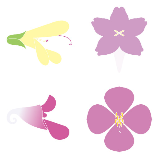 夏（7～9月）